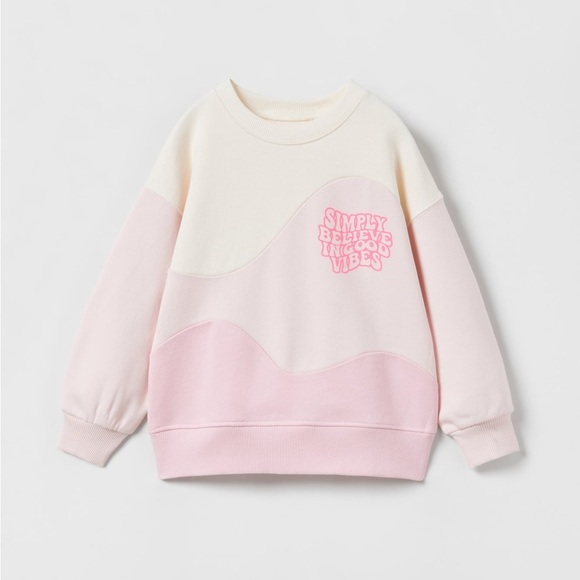Zara Colorblock Sweatshirt - Picture 1 of 7